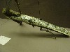 DSC00039.JPG