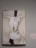 DSC00067.JPG
