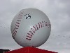 DSC00096.JPG