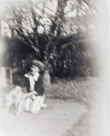 Photograph