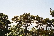 0353011-R1-023-10_010.jpg