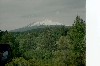 _shasta.jpg