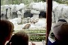 _zoo3.jpg