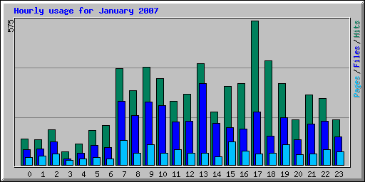 Hourly usage for January 2007